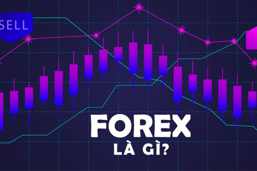 Hiểu Đúng Về Sàn Giao Dịch Forex